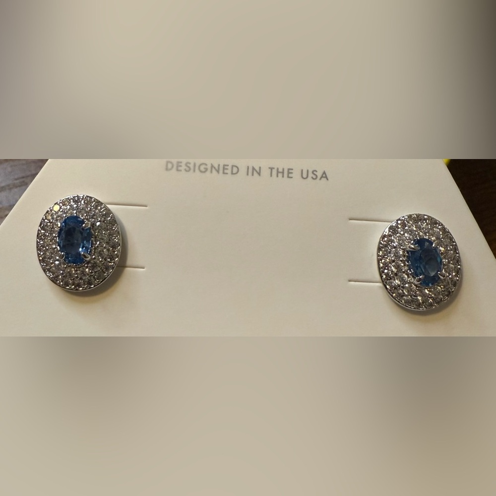 Elegant BP earrings